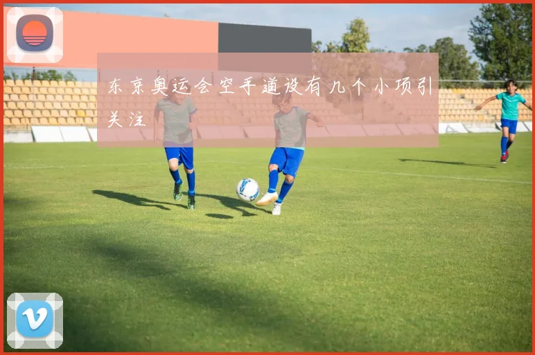 东京奥运会空手道设有几个小项引关注