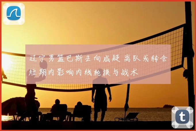 辽宁男篮巴斯去向成疑 离队或转会短期内影响内线轮换与战术