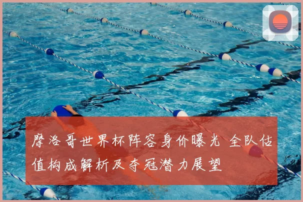 摩洛哥世界杯阵容身价曝光 全队估值构成解析及夺冠潜力展望